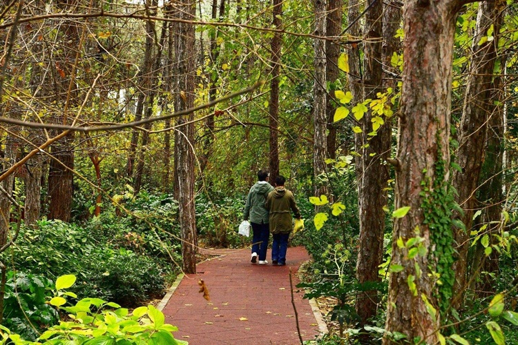 Beylikdüzü Resimleri