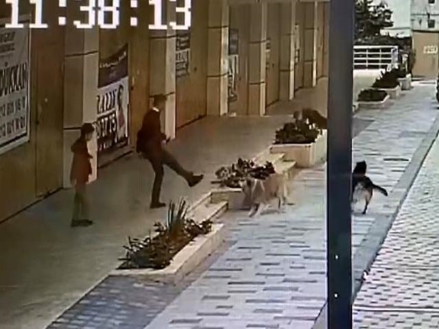 Avcılar'da köpek saldırısına uğrayan çocuk dehşeti yaşadı