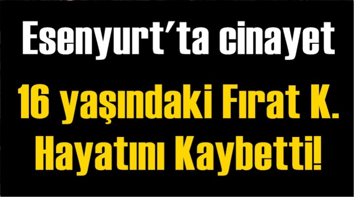 Esenyurt'ta cinayet