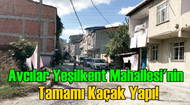 Avcılar Yeşilkent Mahallesi'nin Tamamı Kaçak Yapı!