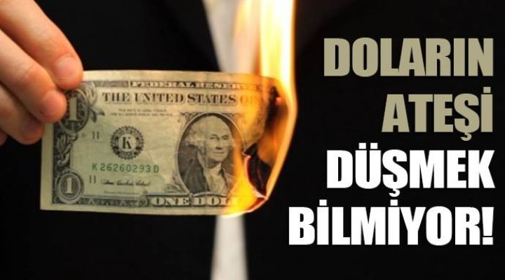 Doların ateşi düşmüyor!