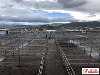 Ardahan Belediyesi Hayvan Pazarı'nı kiralama usulüyle ihaleye çıkaracak