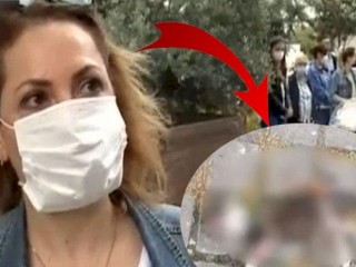 Esenyurt’ta dehşet!… Yavru kedileri Keserek öldürülmüşler…