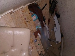 Esenyurt'ta kiracı kadın apartmanda dehşet saçtı!