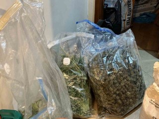 Esenyurt’ta uyuşturucu serasına çevrilen Ev'de 15 kilogram esrar ele geçirildi