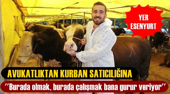 Avukatlıktan Kurban Satıcılığına