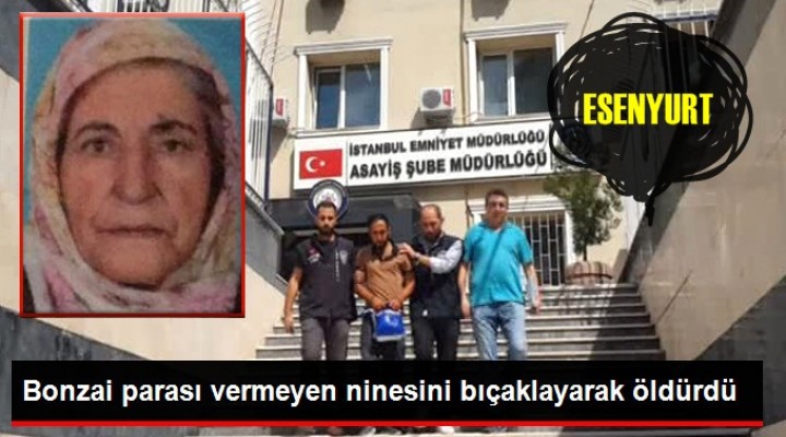 Bonzai Parası alamayınca Anneannesini öldürdü!