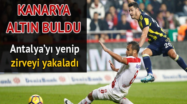 Antalyaspor 0 - 1 Fenerbahçe