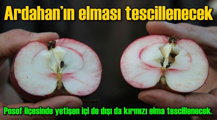 Ardahan elması tescillenecek