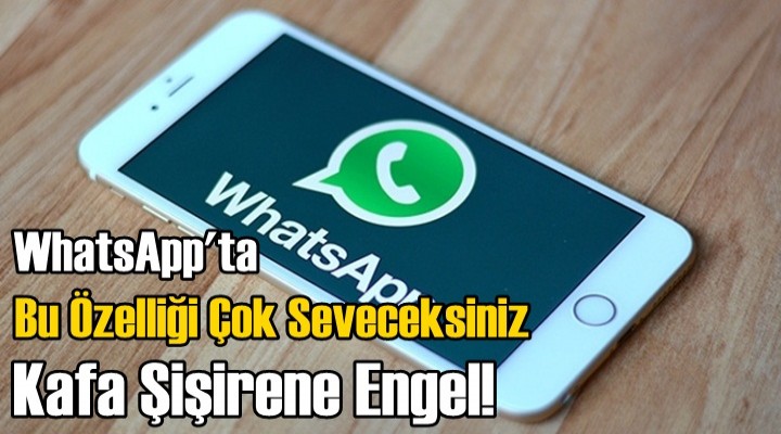 WhatsApp'ta bu özelliği çok seveceksiniz