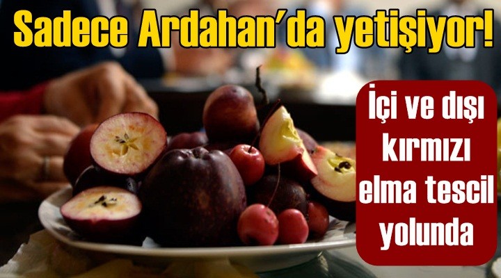 Sadece Ardahan'da yetişiyor!