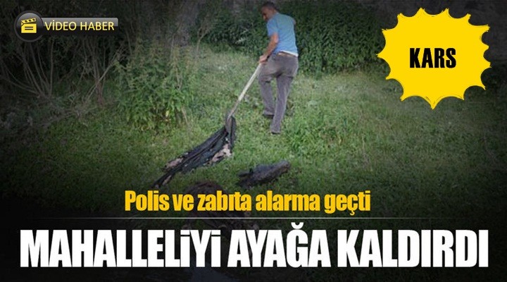 Kars’ta kesik at başları mahalleyi ayağa kaldırdı