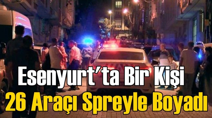 Esenyurt'ta spreyli saldırgan mahalleliyi sokağa döktü