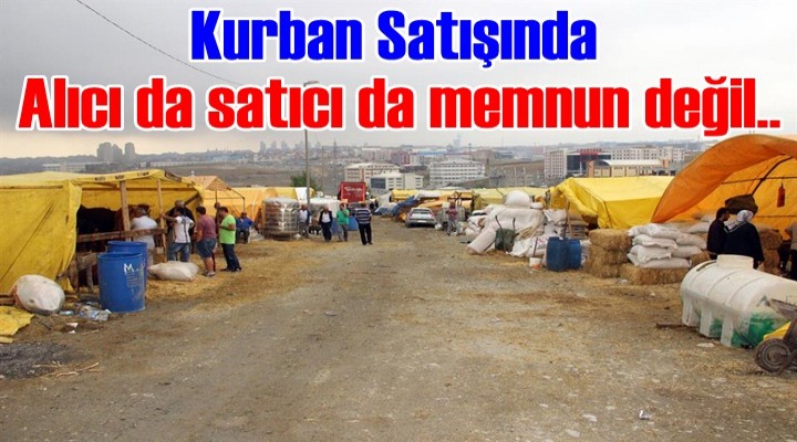 Kurban satışında alıcı da satıcı da memnun değil