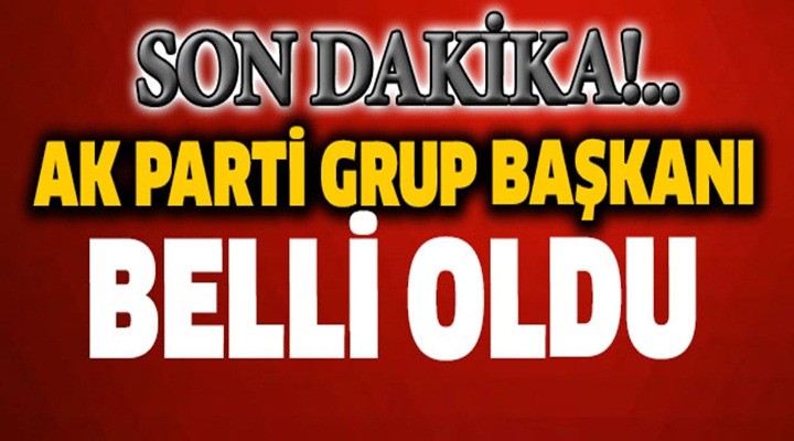 AK Parti Grup Başkanı Binali Yıldırım oldu