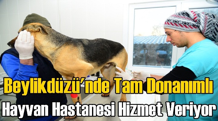 Beylikdüzü'nde Tam Donanımlı Hayvan Hastanesi