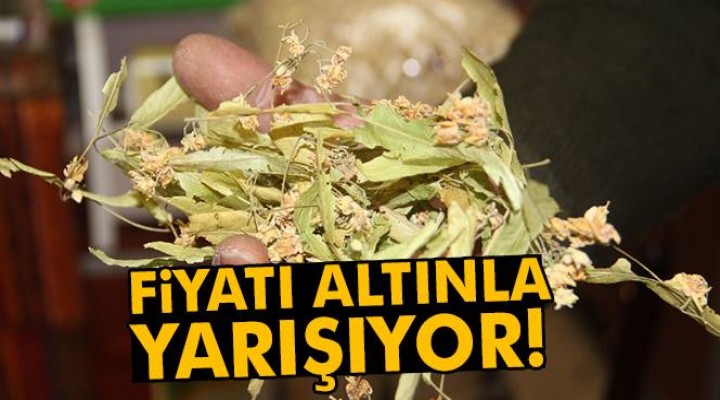 Fiyatı altınla yarışıyor!