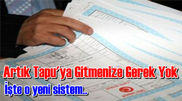 Web Tapu Kolalığı