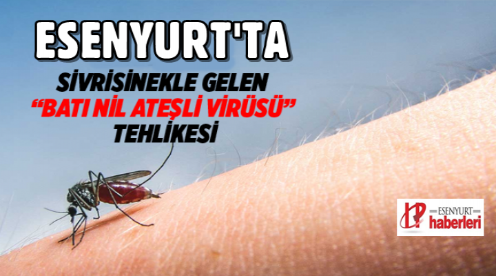 Esenyurt'ta 'Batı Nil Ateşli Virüsü' tehlikesi! Sivrisineklerden bulaşıyor