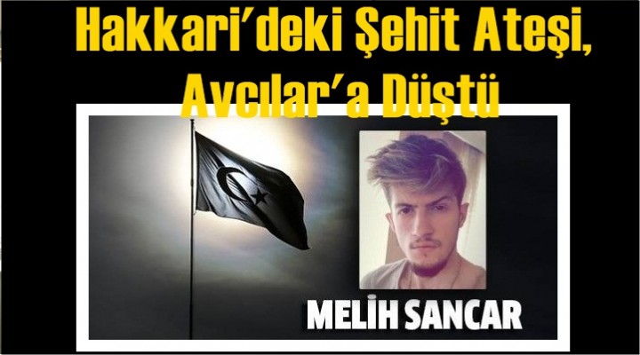 Hakkari'deki Şehit Ateşi, Avcılar'a Düştü