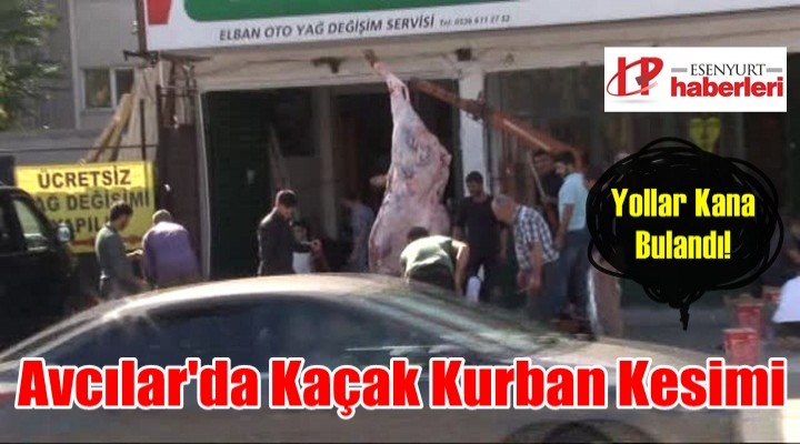 Avcılar'da Kaçak Kurban Kesimi