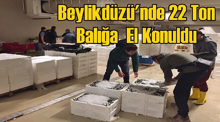 Beylikdüzü'nde 22 Ton Balığa el konuldu